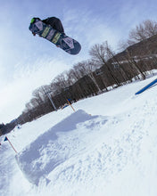 Lade das Bild in den Galerie-Viewer, Rome SDS - Artifact 153 (Testboard)