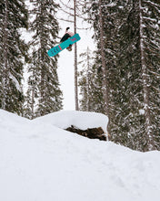 Lade das Bild in den Galerie-Viewer, Rome SDS - Service Dog 153