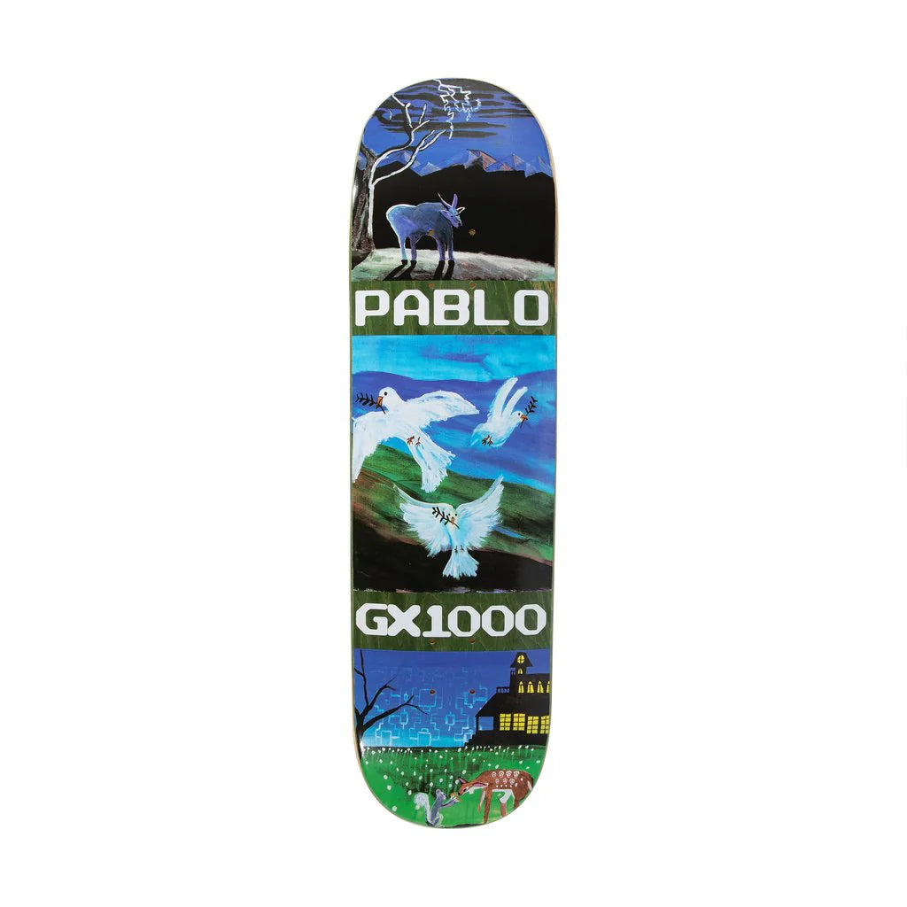 GX1000 Pablo Ramiez Pro Debut 1 assorted 8.375