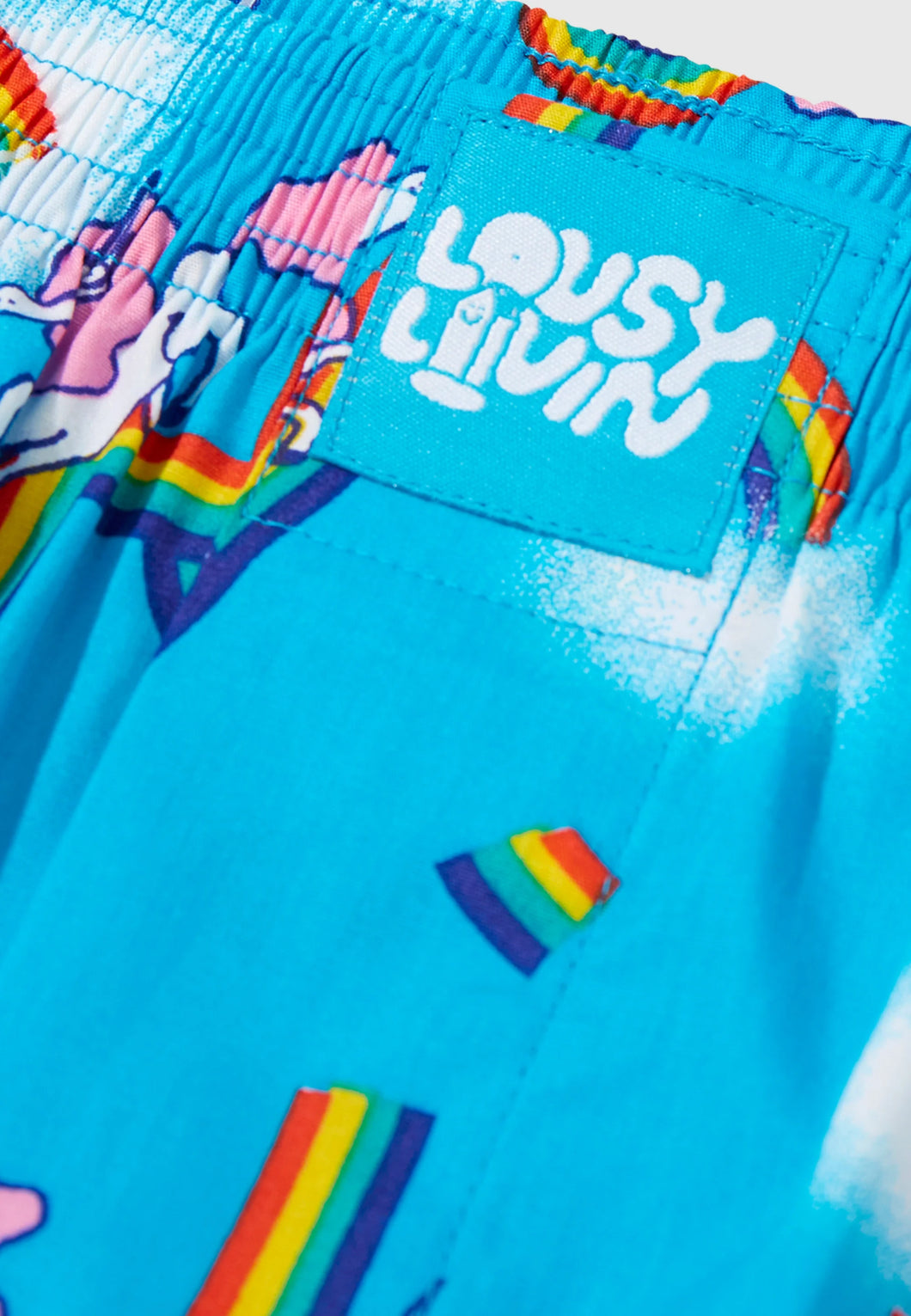 Lousy Livin Boxershorts - Sky Gym